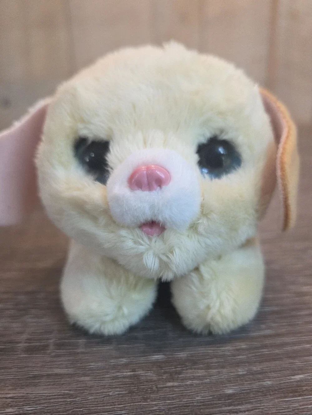 Just Play furReal Newborns Puppy Interactive Pet, Small Plush Puppy w/ Sound